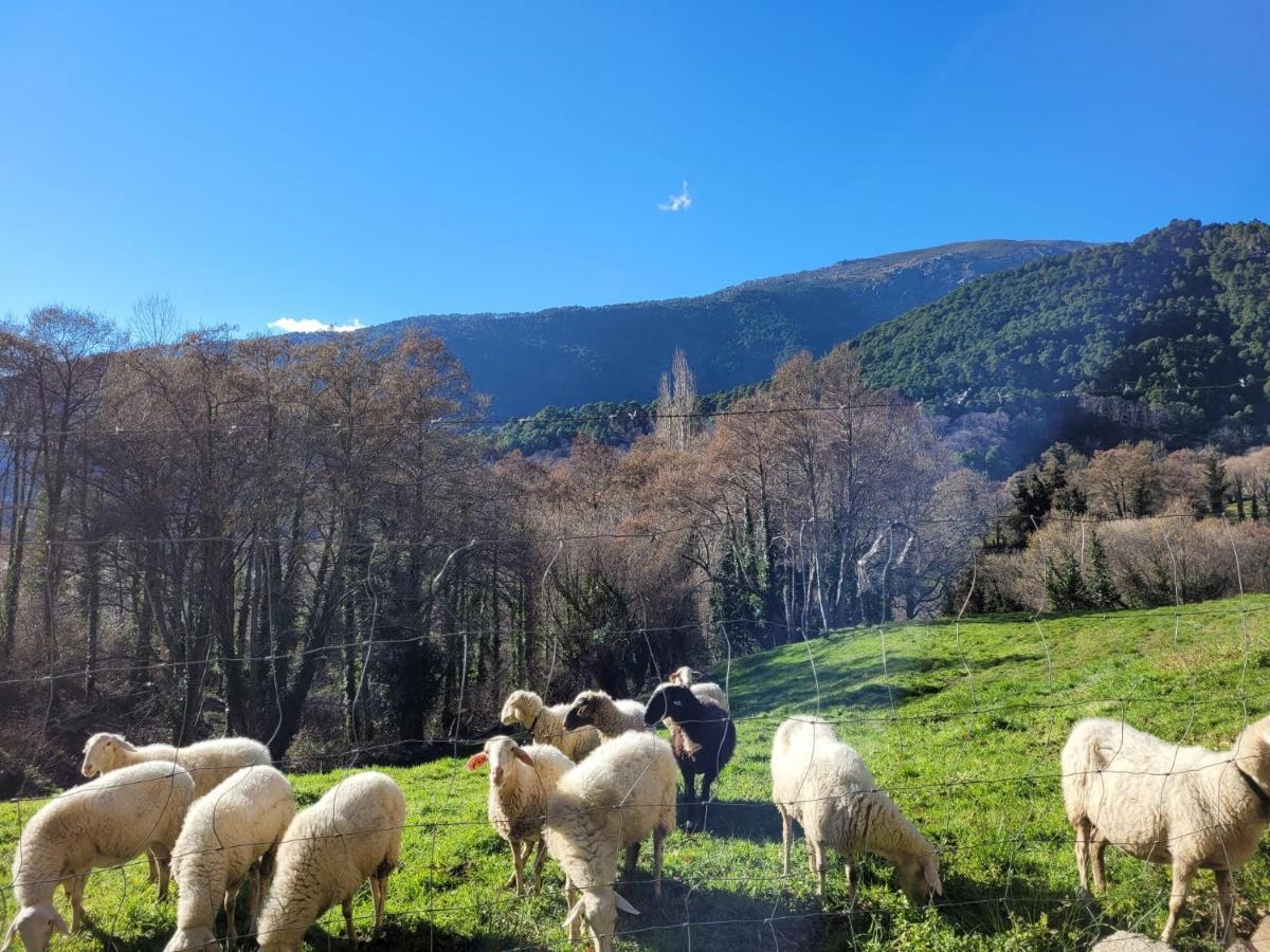 El Atico De Mijares ξενώνας Εξωτερικό φωτογραφία